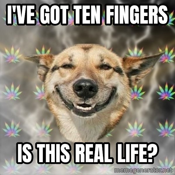 Stoner Dog meme: i've got ten fingers / is this real life?