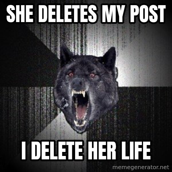 Insanity Wolf meme: she deletes my post / i delete her life