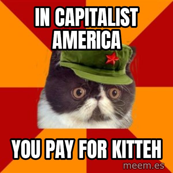 Communist Cat meme: In capitalist america / you pay for kitteh