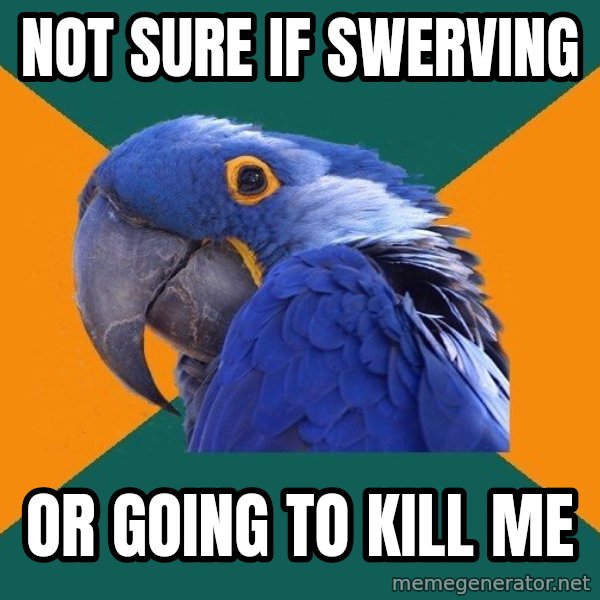 Paranoid Parrot meme: Not sure if swerving / Or going to kill me
