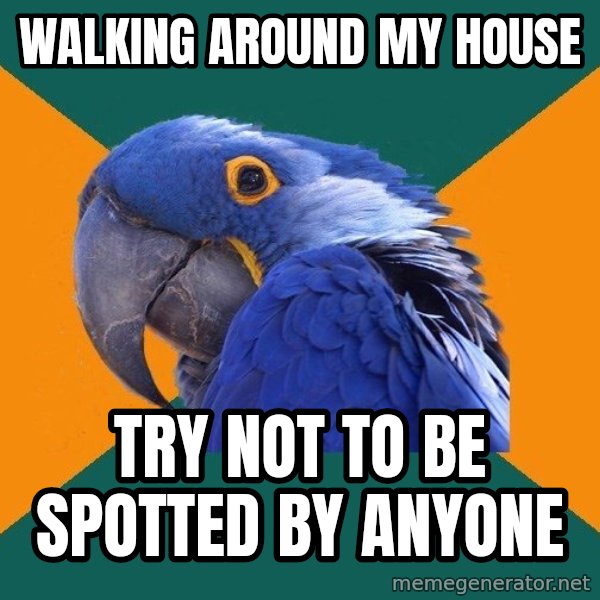 Paranoid Parrot meme: wALKING AROUND my HOUSE / TRY NOT TO BE SPOTTED BY ANYONE