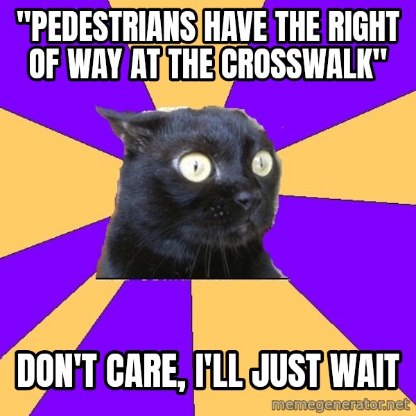Anxiety Cat meme: "Pedestrians have the right of way at the crosswalk" / Don't care, i'll just wait