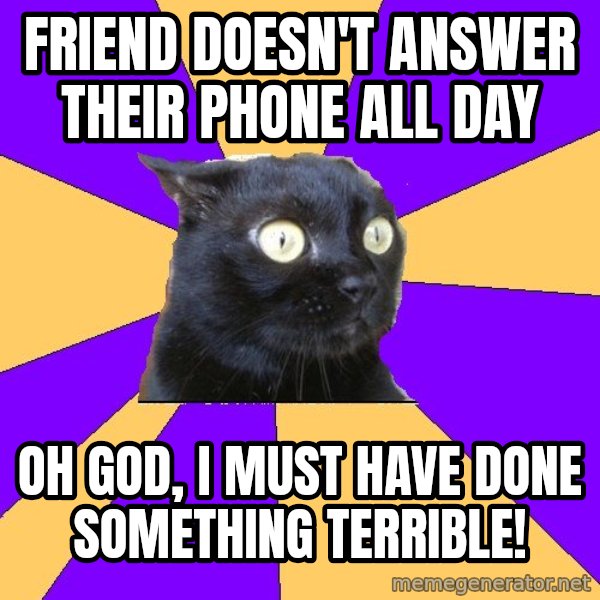 Anxiety Cat meme: Friend doesn't answer their phone all day / oh god, i must have done something terrible!