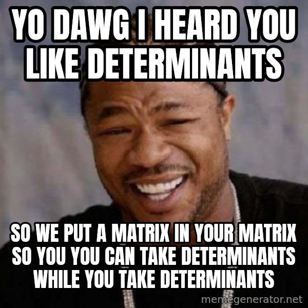 xzibit-yo-dawg meme: yo dawg i heard you like determinants / so we put a matrix in your matrix so you you can take determinants while you take determinants