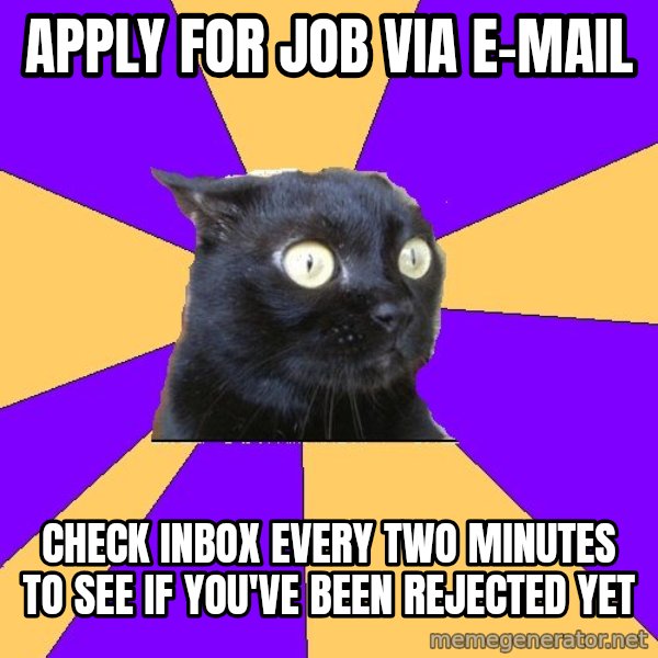 Anxiety Cat meme: Apply for job via e-mail / check inbox every two minutes to see if you've been rejected yet