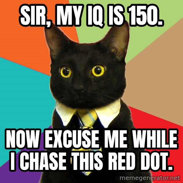 Business Cat meme: sir, my iq is 150. / now excuse me while i chase this red dot.