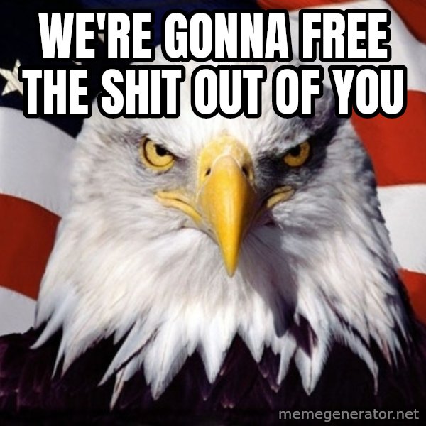 American Pride Eagle meme: We're gonna free the shit out of you