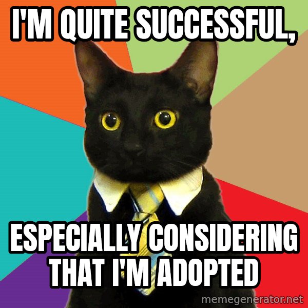 Business Cat meme: i'm quite successful, / especially considering that i'm adopted