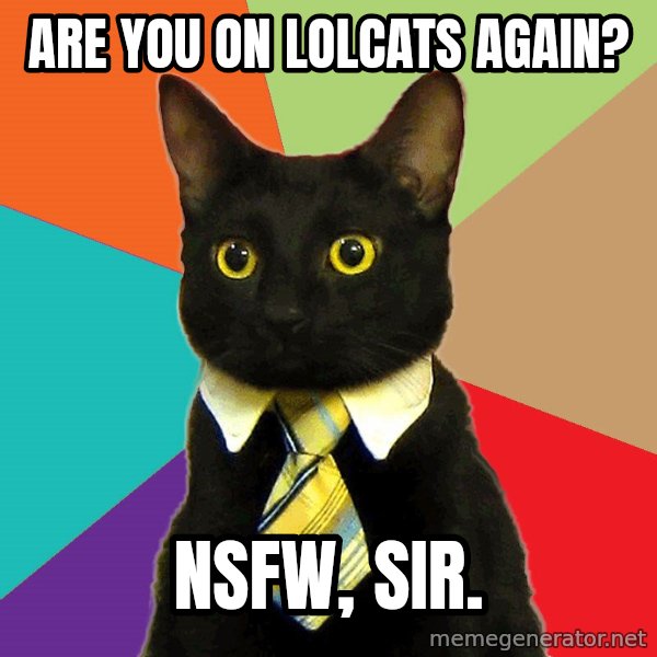 Business Cat meme: are you on LOLcats again? / nsfw, sir.