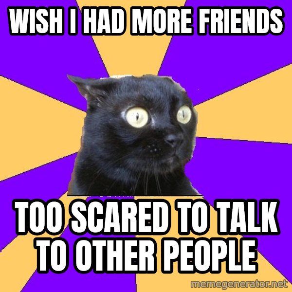 Anxiety Cat meme: WISH i HAD more FRIENDS / too scared to talk to other people