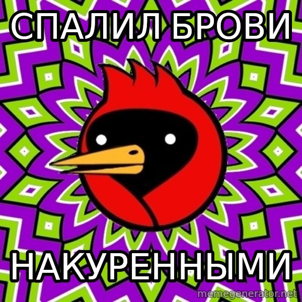 Omsk Crow meme: Спалил брови / накуренными