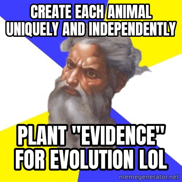 Advice God meme: create each animal uniquely and independently / plant "evidence" for evolution LOL