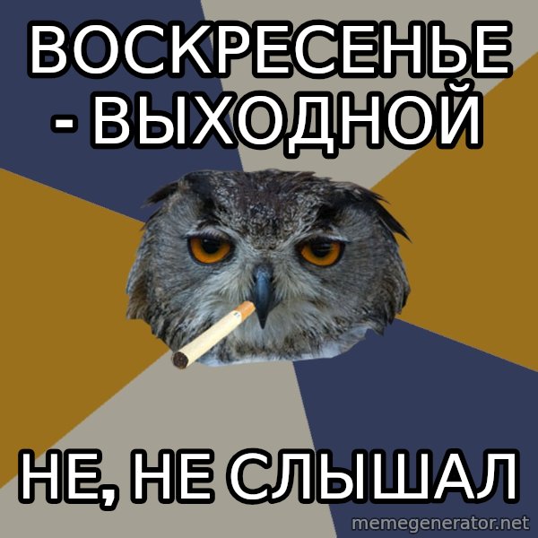 Art Student Owl meme: воскресенье - выходной / не, не слышал