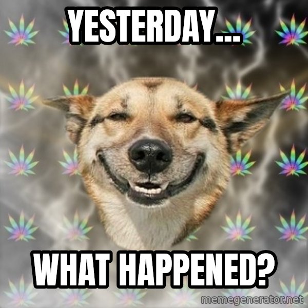 Stoner Dog meme: yesterday... / what happened?