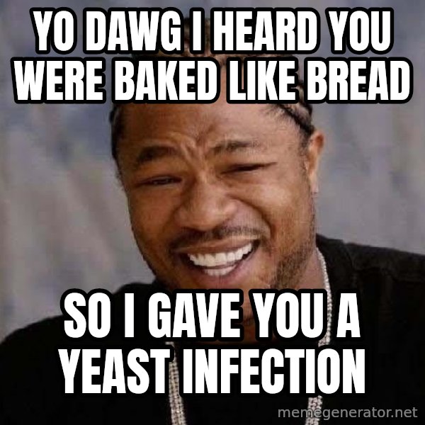 Yo Dawg meme: yo dawg i heard you were baked like bread / so i gave you a yeast infection