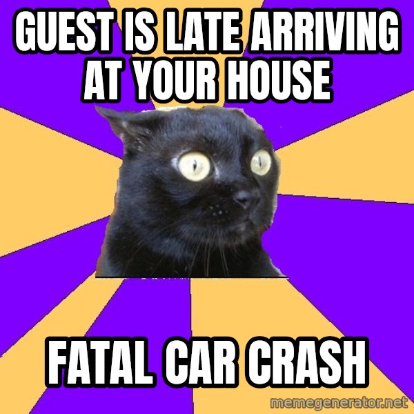 Anxiety Cat meme: Guest is late arriving at your house / fatal car crash
