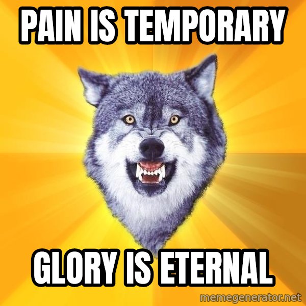 Courage Wolf meme: pAIN IS TEMPORARY / GLORY IS ETERNAL