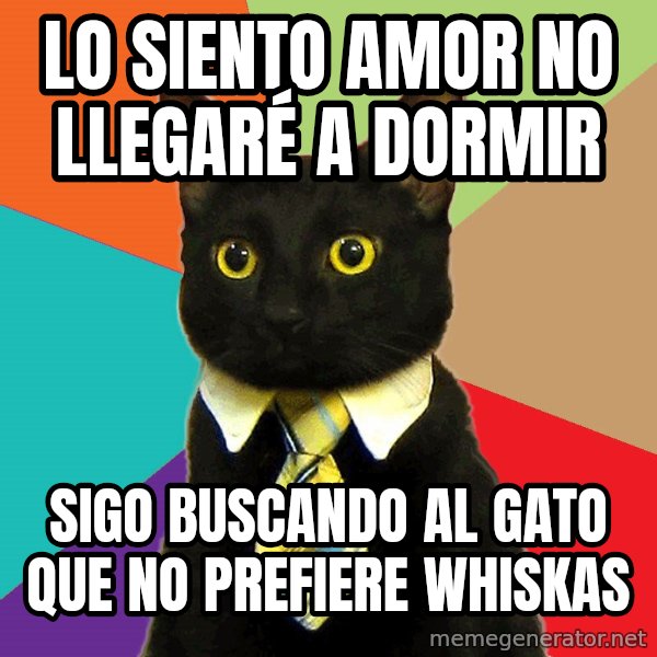 Business Cat meme: lo siento amor no llegaré a dormir / sigo buscando al gato que no prefiere whiskas