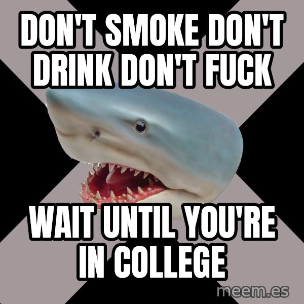 Straight Edge Shark meme: Don't smoke don't drink don't fuck / wait until you're in college