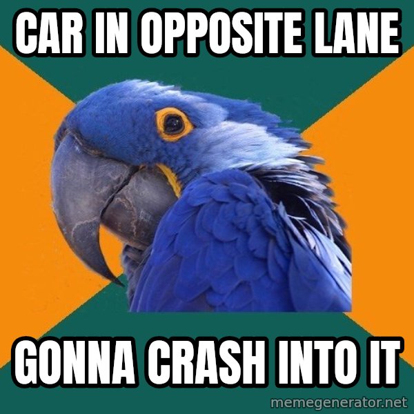 Paranoid Parrot meme: Car in opposite lane / gonna crash into it
