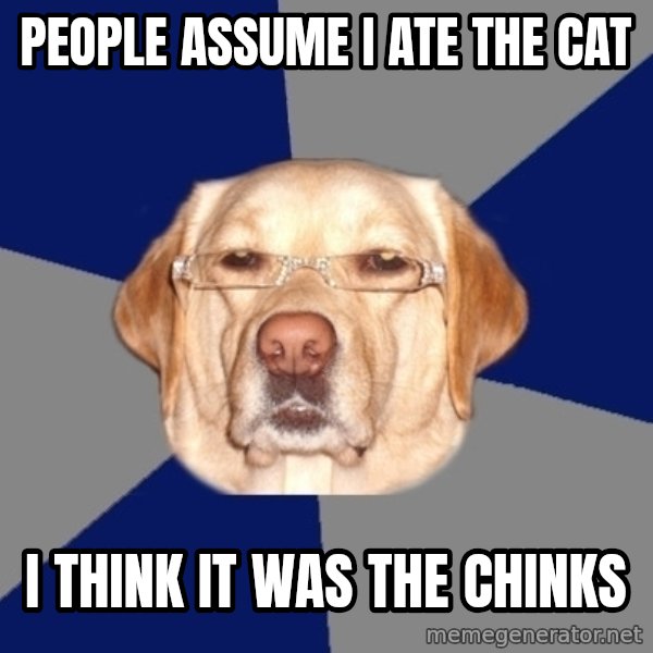 Racist Dawg meme: People assume I ate the cat / I think it was the chinks