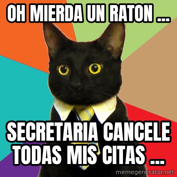 Business Cat meme: Oh mierda un raton ... / secretaria  cancele todas mis citas ...
