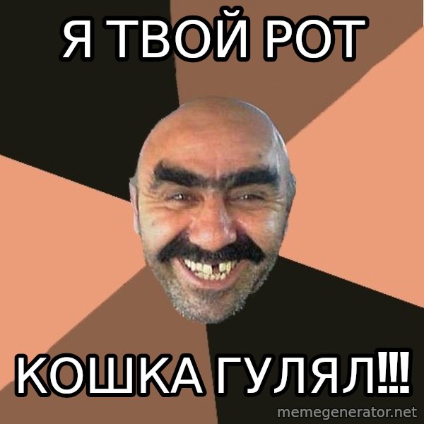 Provincial Man meme: Я ТВОЙ РОТ / КОШКА ГУЛЯЛ!!!