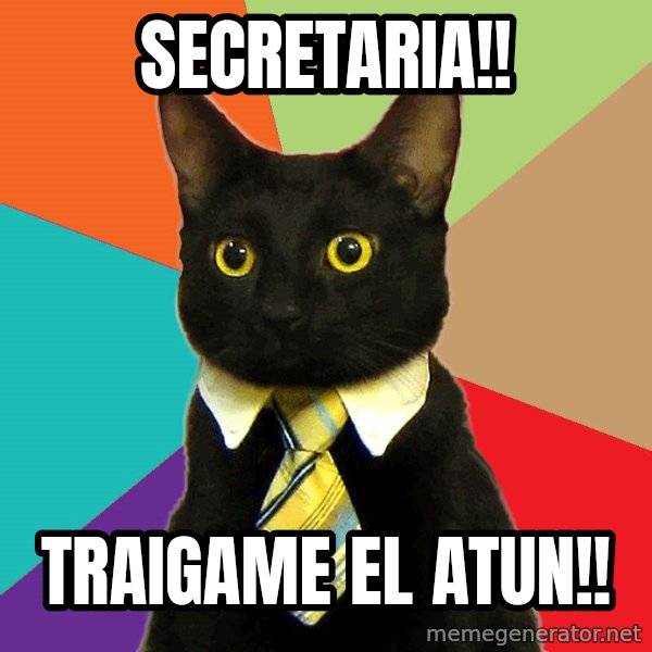 Business Cat meme: secretaria!! / traigame el atun!!