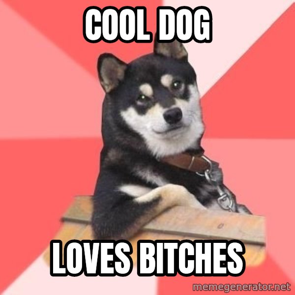 Cool Dog meme: Cool Dog / Loves Bitches