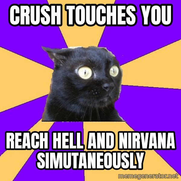 Anxiety Cat meme: CRUSH TOUCHES YOU / REACH HELL AND NIRVANA SIMUTANEOUSLY