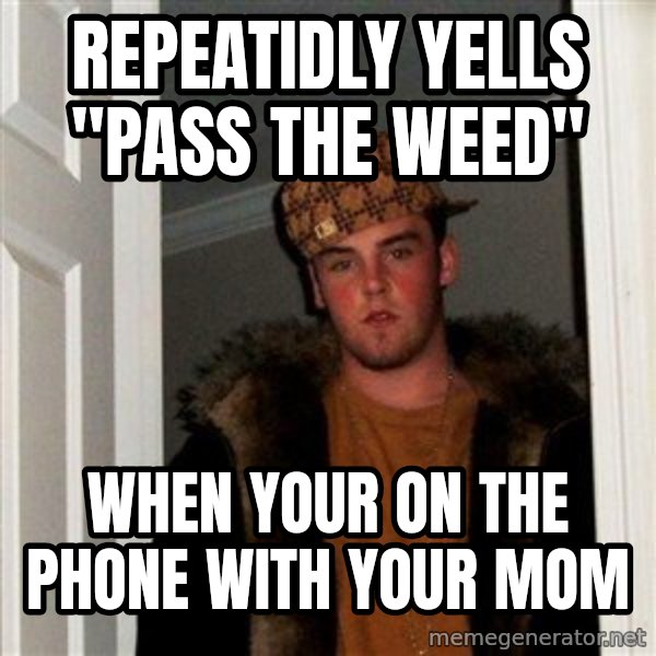 Scumbag Steve meme: Repeatidly yells  "pass the weed" / When your on the phone with your mom