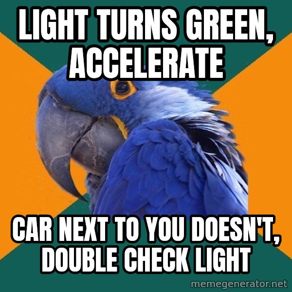 Paranoid Parrot meme: Light Turns Green, Accelerate / Car next to you doesn't, double check light
