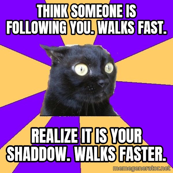 Anxiety Cat meme: think someone is following you. walks fast. / realize it is your shaddow. walks faster.