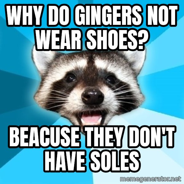 Lame Pun Coon meme: Why do gingers not wear shoes? / Beacuse they don't have soles