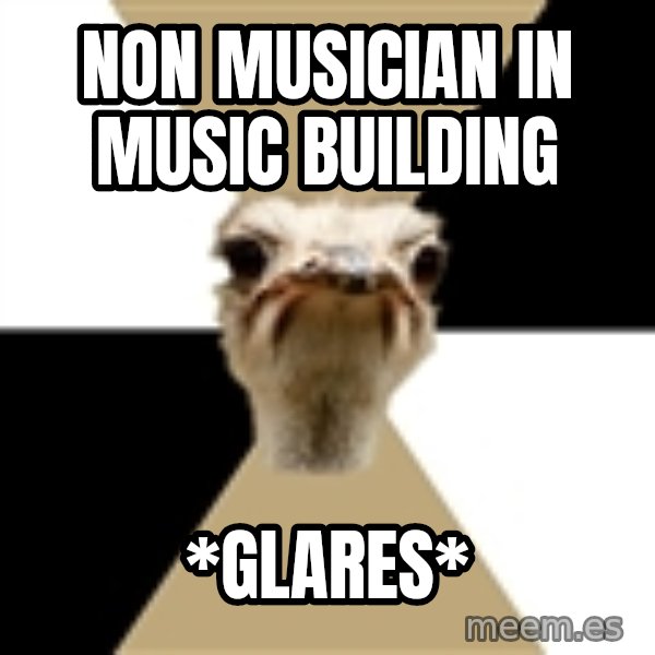 Music Major Ostrich meme: Non musician in music building / *Glares*