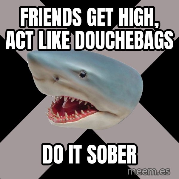 Straight Edge Shark meme: friends get high, act like douchebags / do it sober