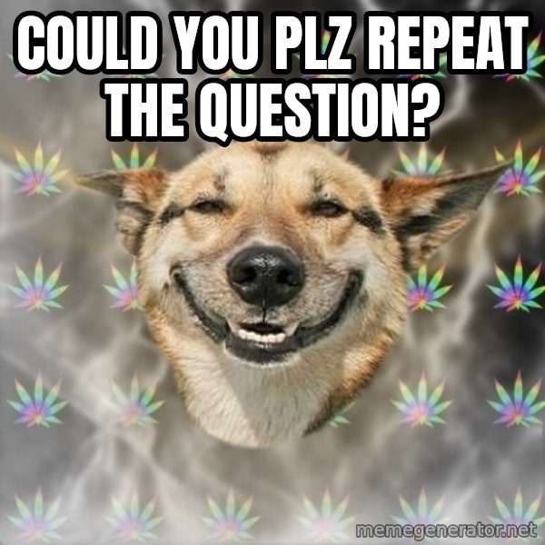 Stoner Dog meme: could you plz repeat the question?