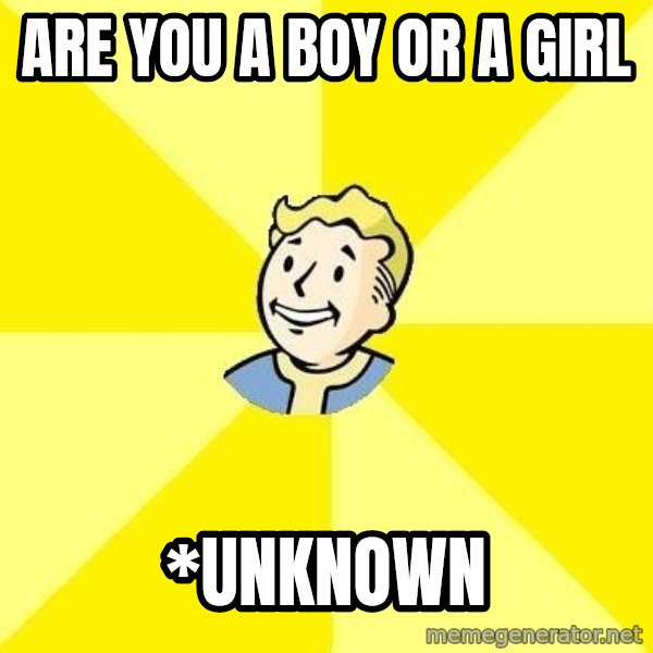 Fallout 3 meme: aRE YOU A bOY OR A GIRL / *uNKNOWN