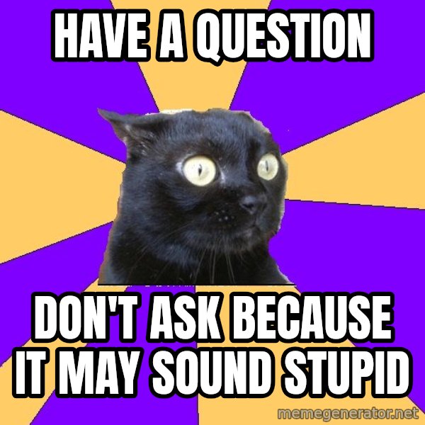 Anxiety Cat meme: have a question / don't ask because it may sound stupid