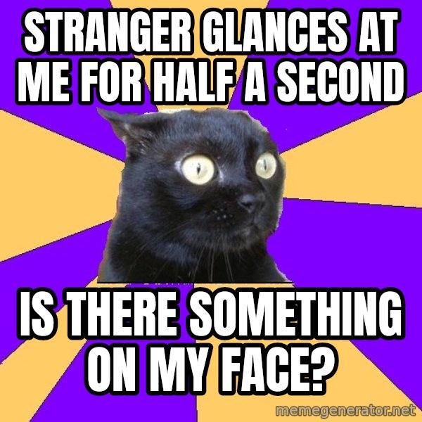 Anxiety Cat meme: STRANGER GLANCES AT ME FOR HALF A SECOND / IS THERE SOMETHING ON MY FACE?