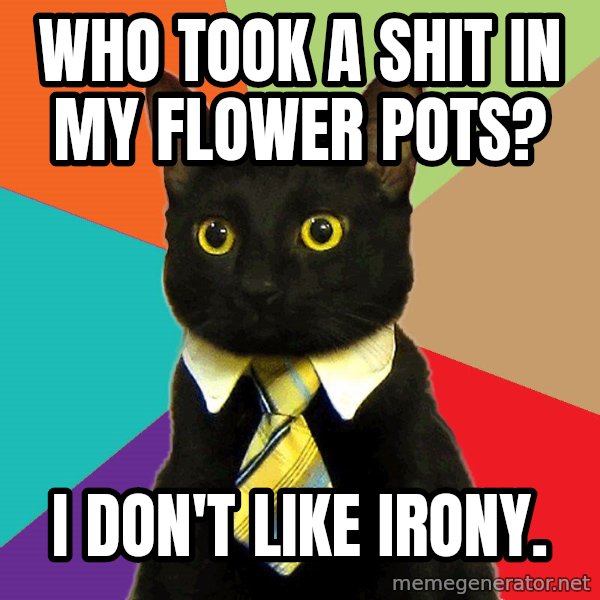 Business Cat meme: who took a shit in my flower pots? / i don't like irony.