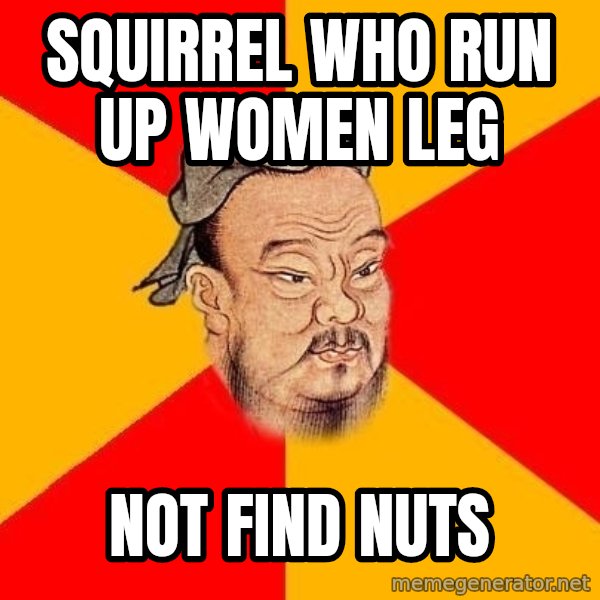 Wise Confucius meme: squirrel who run up women leg / not find nuts