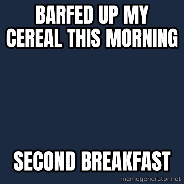 Foul Bachelor Frog meme: barfed up my cereal this morning / second breakfast