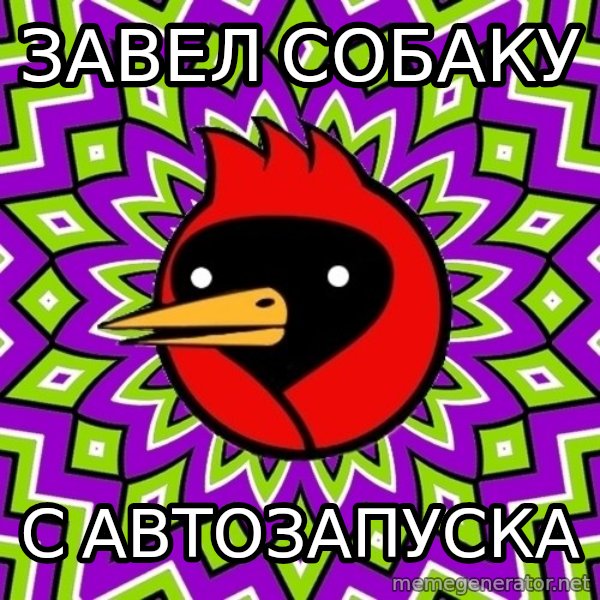 Omsk Crow meme: Завел собаку / с автозапуска