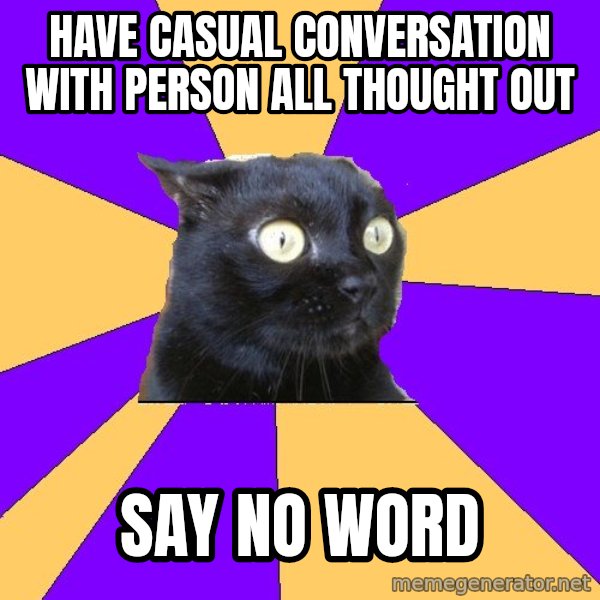 Anxiety Cat meme: have casual conversation witH person all thought out / say no word