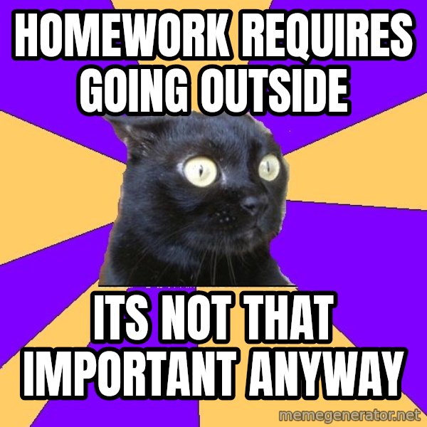 Anxiety Cat meme: homework requires going outside / its not that important anyway