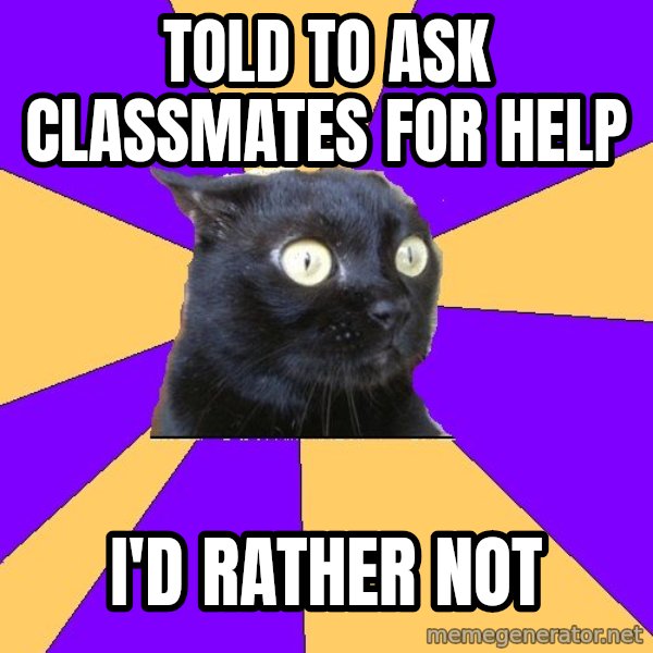 Anxiety Cat meme: told to ask classmates for help / i'd rather not