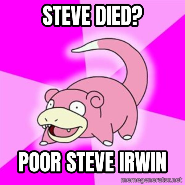 Slowpoke meme: Steve died? / Poor Steve Irwin