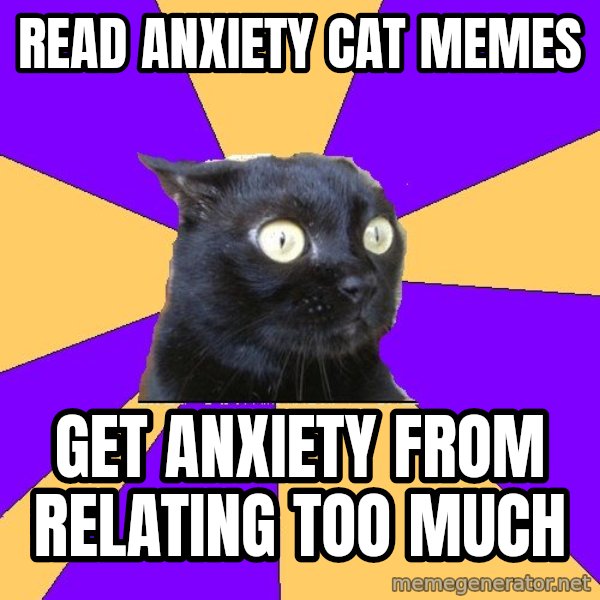 Anxiety Cat meme: Read anxiety cat memes / get anxiety from relating too much