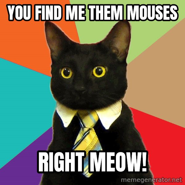Business Cat meme: you find me them mouses / right meow!